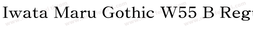 Iwata Maru Gothic W55 B Regular字体转换